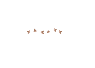 The Friendship Project